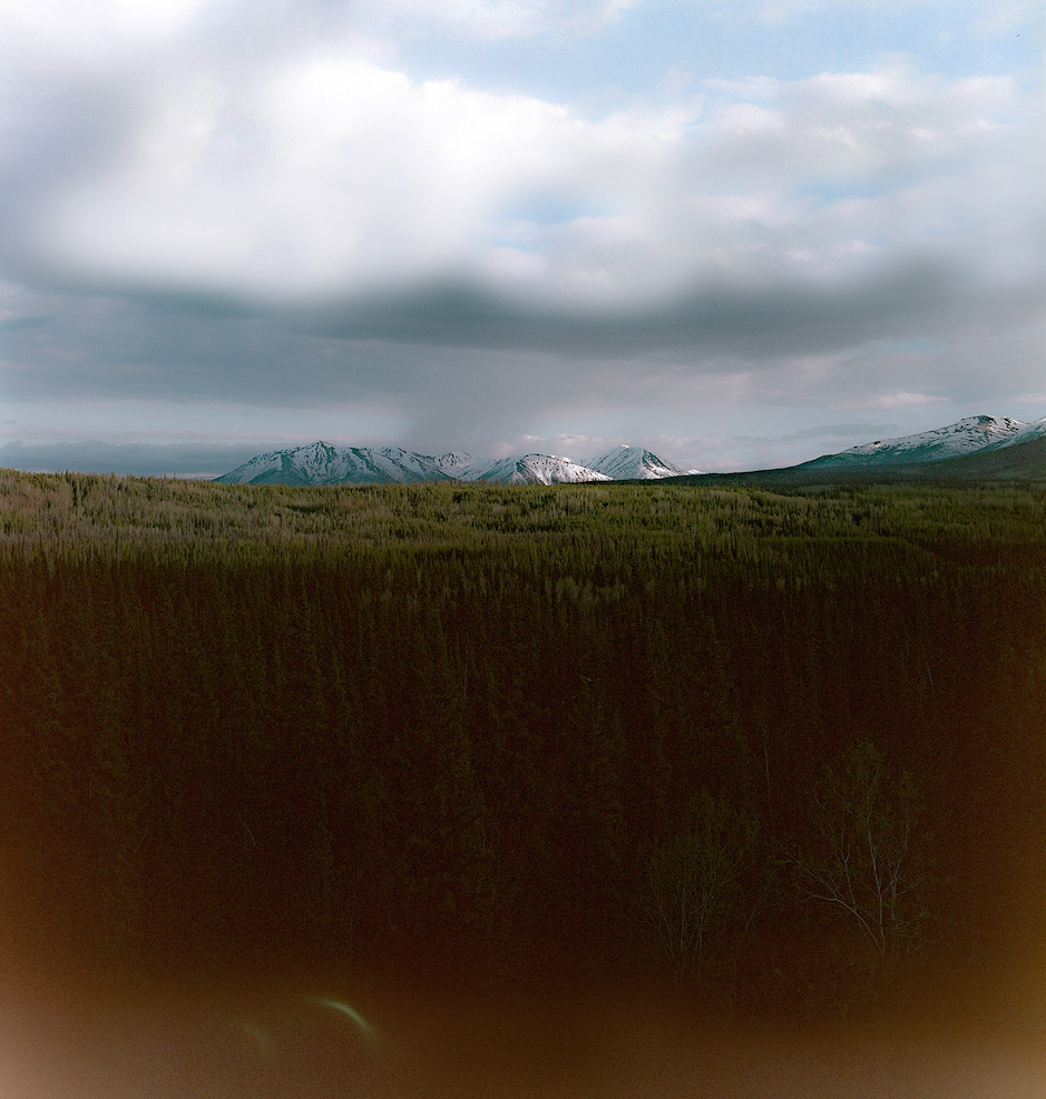 08210012 Stitch Mountain Forrest TKD 2023 